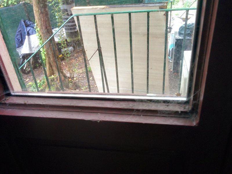B&B Villa Regina Pisa Luaran gambar